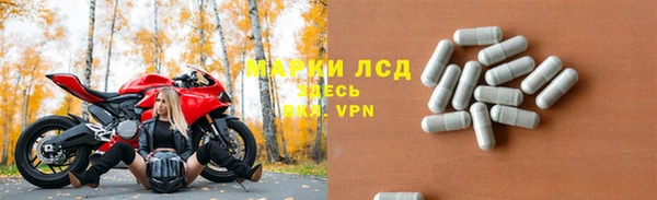 spice Аркадак