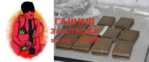 индика Арсеньев