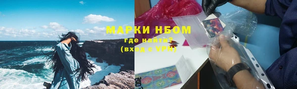 индика Арсеньев
