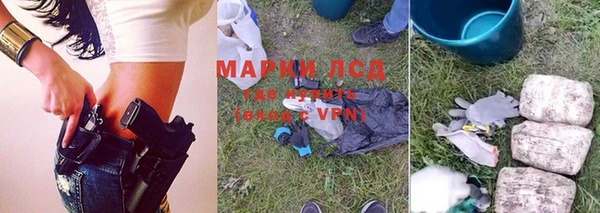 индика Арсеньев