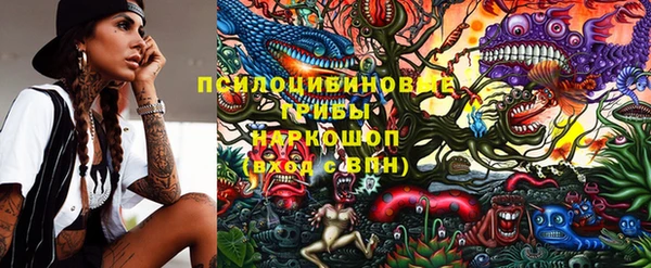 spice Аркадак