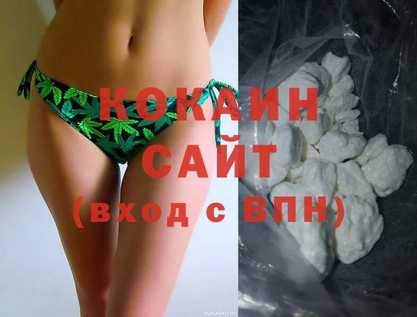 индика Арсеньев