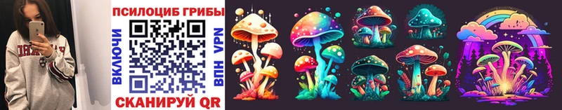 Псилоцибиновые грибы Psilocybe  магазин  наркотиков  Петухово 